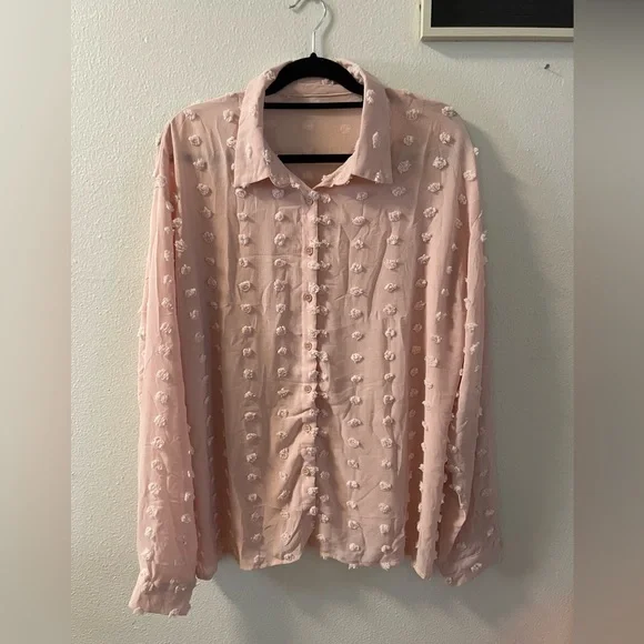 Sheer Pom Button Down Blush Blouse - Picture 2 of 4